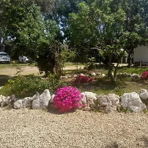 Nature Lagos